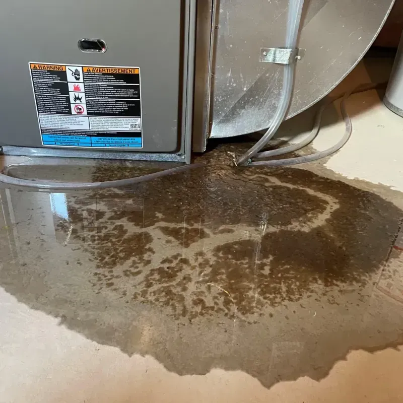 Appliance Leak Cleanup in Winston-Salem, NC